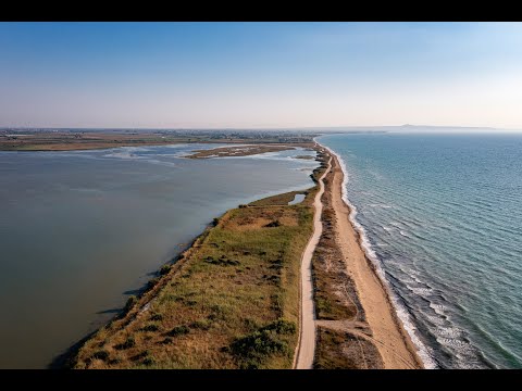 Κοτύχι-Στροφυλιά