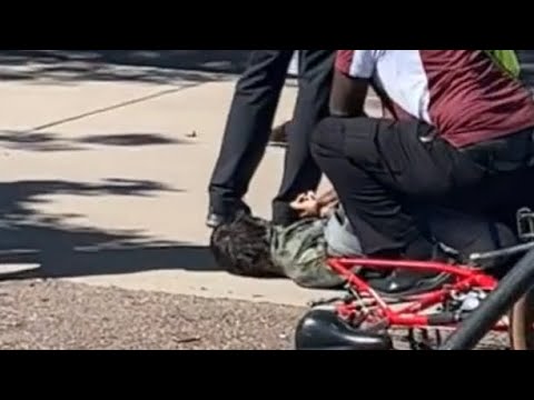 Daniel Larson Arrest Update New Bystander Video