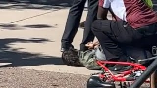 Daniel Larson Arrest Update (New Bystander Video)