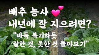 배추농사, 내년에 잘 지으려면? / 바둑 복기하듯 잘한 것, 못한 것 돌아보기