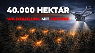 Ein Auftrag, der alles verändert hat - 40.000 Hektar Wildzählung mit Wärmebilddrohnen (Matrice 4T)