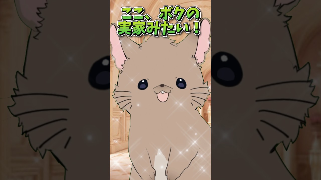 【ショートコント】安心感 #vtuber #ネタ #お笑い #shorts