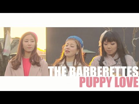Puppy Love - Donny Osmond Cover by The Barberettes / 바버렛츠