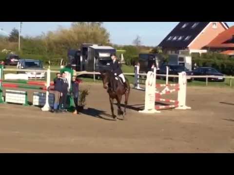 Huesmann / Amity B Fehmarn 2015, 1,30 m