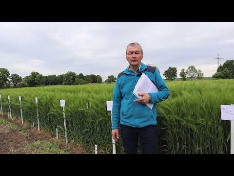 TLLLR-Feldtag Pflanzenschutz und Düngung