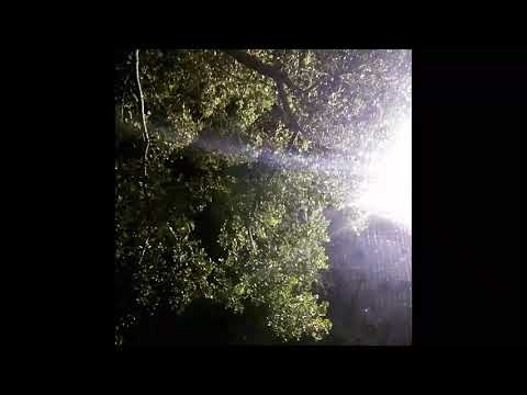 pype dream - COLUMBINE | prod. pype dream