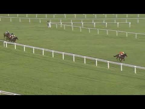Punchestown day 5