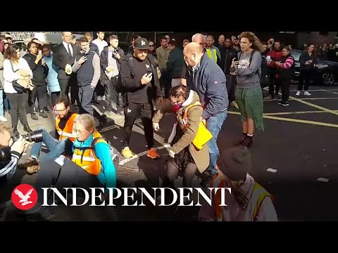 Just Stop Oil activists blocking Piccadilly Circus dragged away by public
