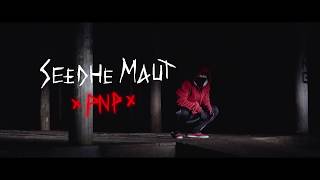 Seedhe Maut - PNP [Unofficial Fan Video]
