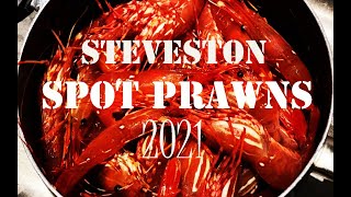 【Canada】Steveston Spot Prawns 2021 | Vancouver life | 獲れたてボタン海老を直接ボートから買ってきたよ！