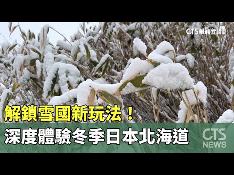 解鎖雪國新玩法！　深度體驗冬季日本北海道