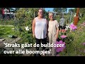 Volkstuincomplex Mijdrecht dreigt snel te verdwijnen | RTV Utrecht