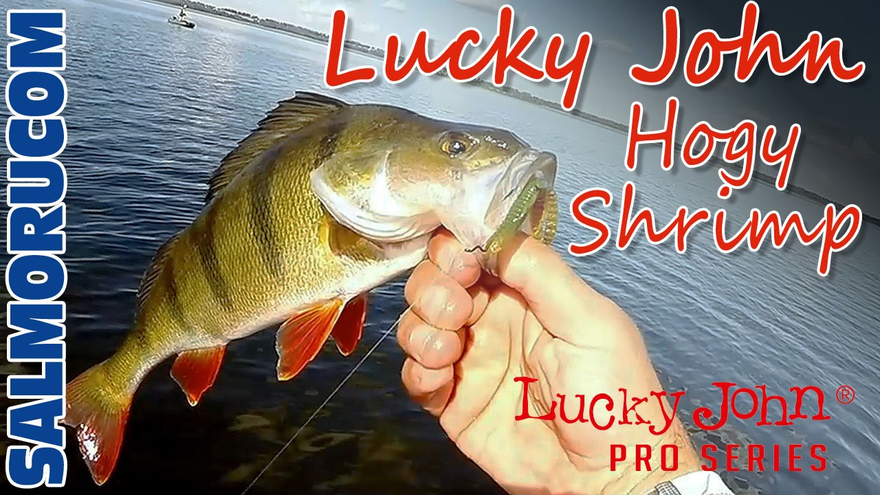 Видео Силикон lucky John Hogy Shrimp LJ Pro Series 3