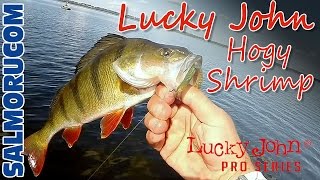 Hogy shrimp lucky john 3