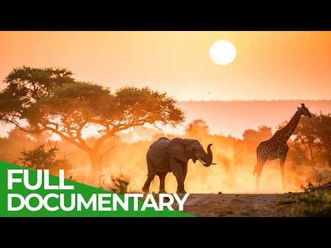 Wonders Of Africa