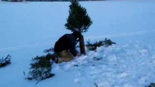 preview picture of video 'Proper disposal of a Christmas tree'