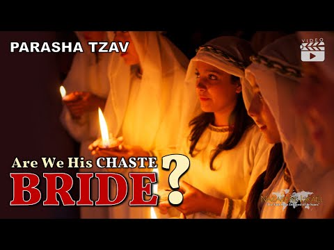 Parasha Tzav: Are We His Chaste Bride?