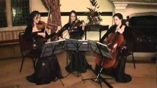 Hallelujah - Sorrelli Strings 2010