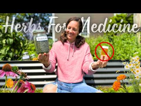 15+ Herbs You Can Grow for Natural Healing - How We Use Them for Our Family