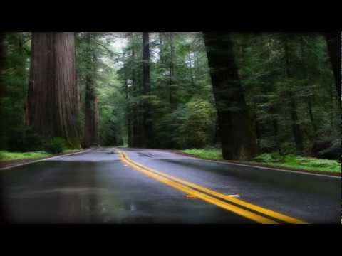 ROB LITTLE - Memories