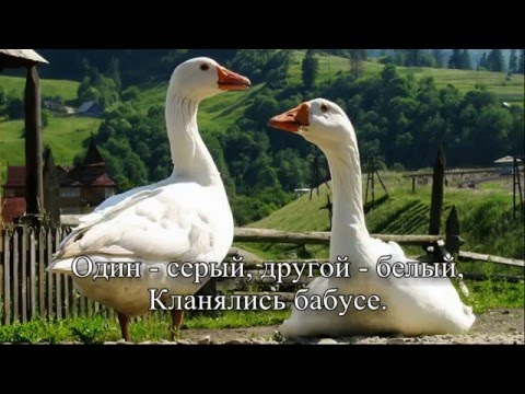 Два веселых гуся. Детская народная песенка с субтитрами. Караоке.