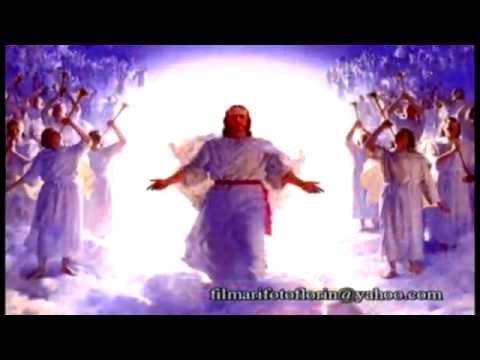 666 Biruitorii pe marea de sticla - Alin Jucu