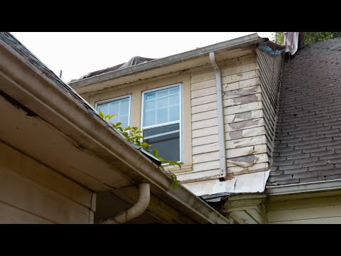 Witness21 Editor  2025 01 15