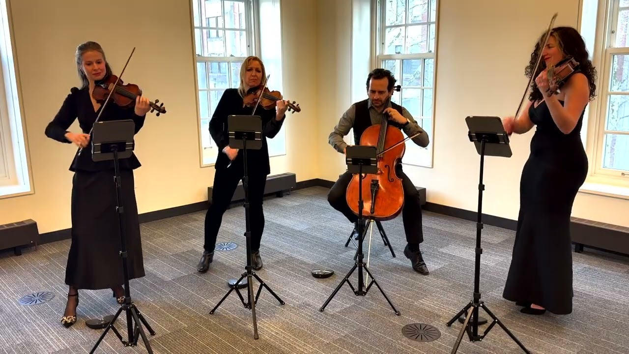 Promotional video thumbnail 1 for Elegance Quartet Entertainment