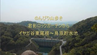2015.4.25 山から街へ続くみち:君影ロックガーデンからイヤガ谷東尾根