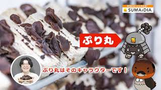 株式会社スマイディア編～しがSDGsの仲間たち～