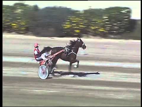 Trotto 29/03/2015 - 1° prova di riqualifica