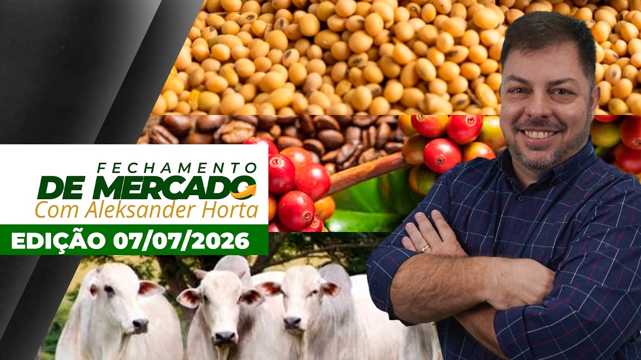 Boi recua, café despenca e soja sobe nesta terça-feira, mercado bastante volátil