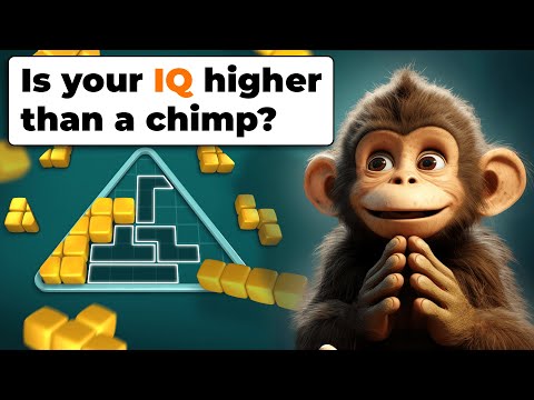 Playdoku - Block Puzzle Game - YouTube