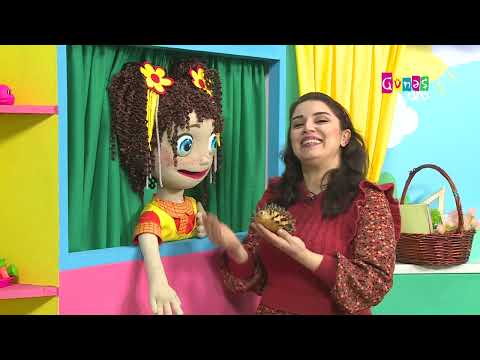 "Yaşıl ev" - 19 fevral 2025-ci il