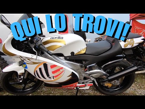 MOSTRA NOVEGRO : LA PIU' BELLA DEGLI ULTIMI ANNI