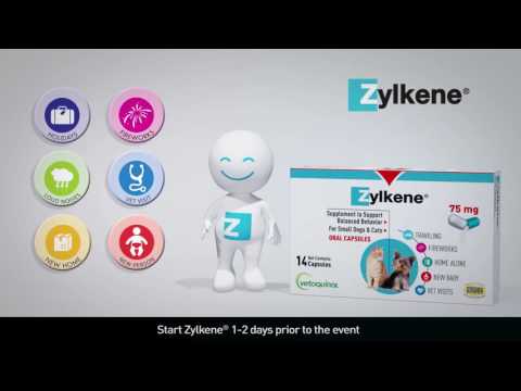 Vetoquinol Zylkene 75mg (14 capsules) Video