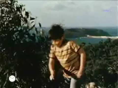 SIGLA SKIPPY IL CANGURO -TELEFILM ANNI 80