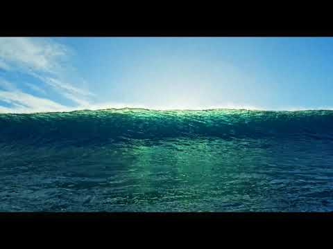 8Dio Score This - The Captain Steve Sutton - Captain My Captain