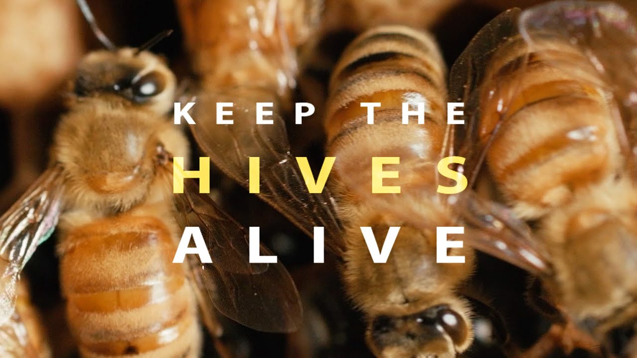 Keep the Hives Alive (Full Documentary)