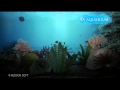 Seabed