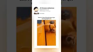 Esse é o único filme de terror que me fez gargalhar