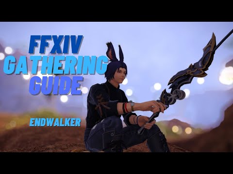FFXIV - Gatherer Leveling Guide 1-90 Endwalker 6.08