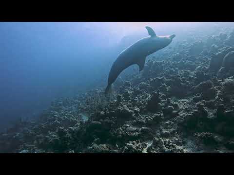 Egypte november 2025, brayka bay