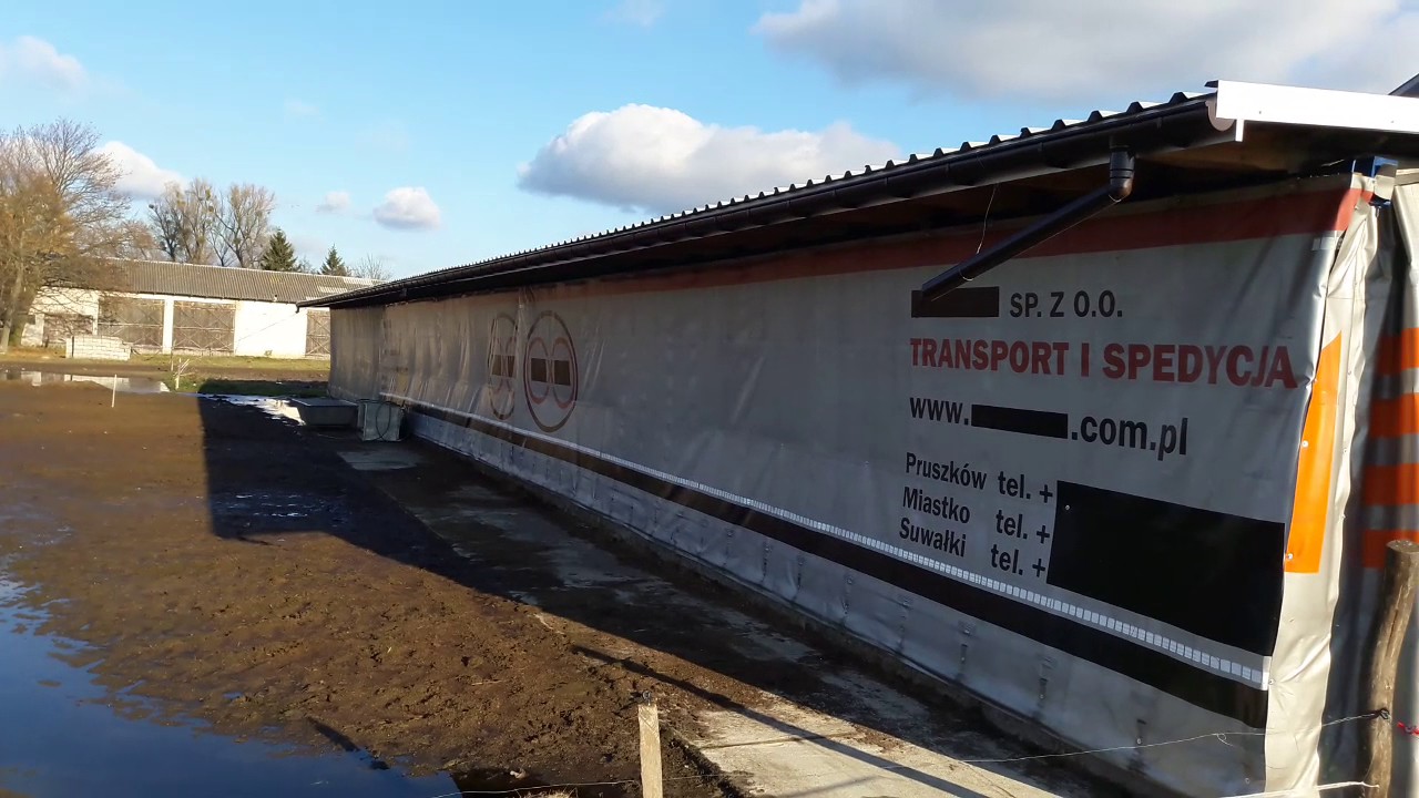 Wiata dla bydła wersja zimowa