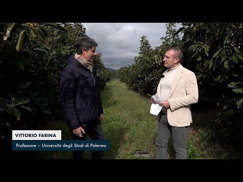 video media thumbnail