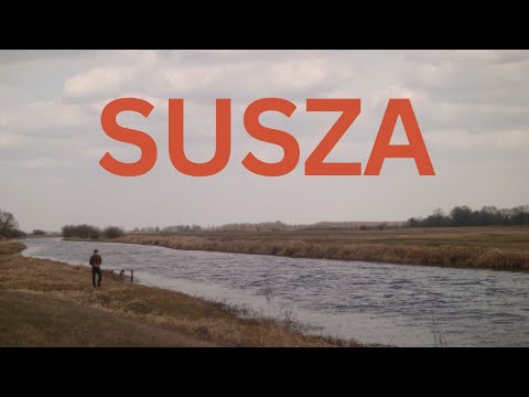 Drought. The Narew and Biebrza Rivers are disappearing before our eyes.