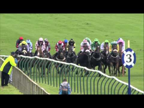 2013 William Hill Ayr Gold Cup - Highland Colori