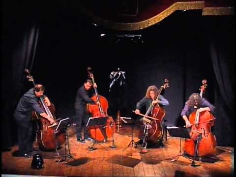 black cat white cat - bassgang... the best of the double bass