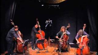 black cat white cat - bassgang... the best of the double bass