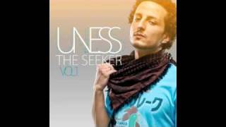 Would You Love Me(Remix) - Uness